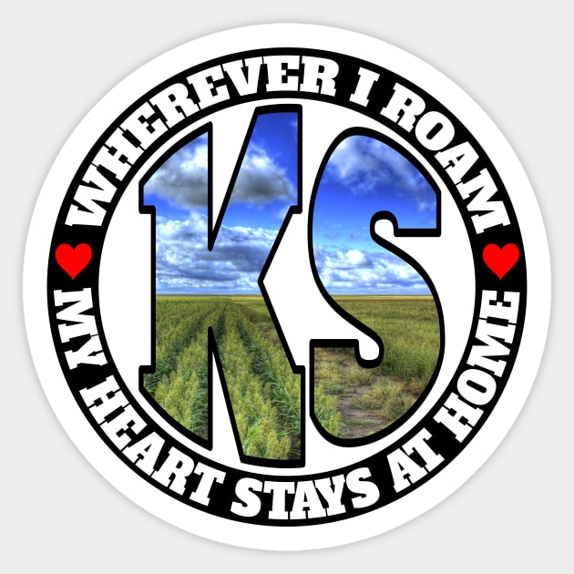 Heart Stays Home - Kansas Sticker by DonDota